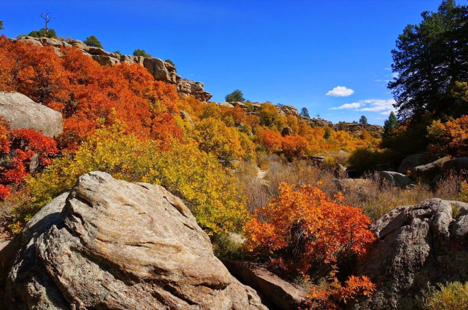 Castlewood Canyon State Park