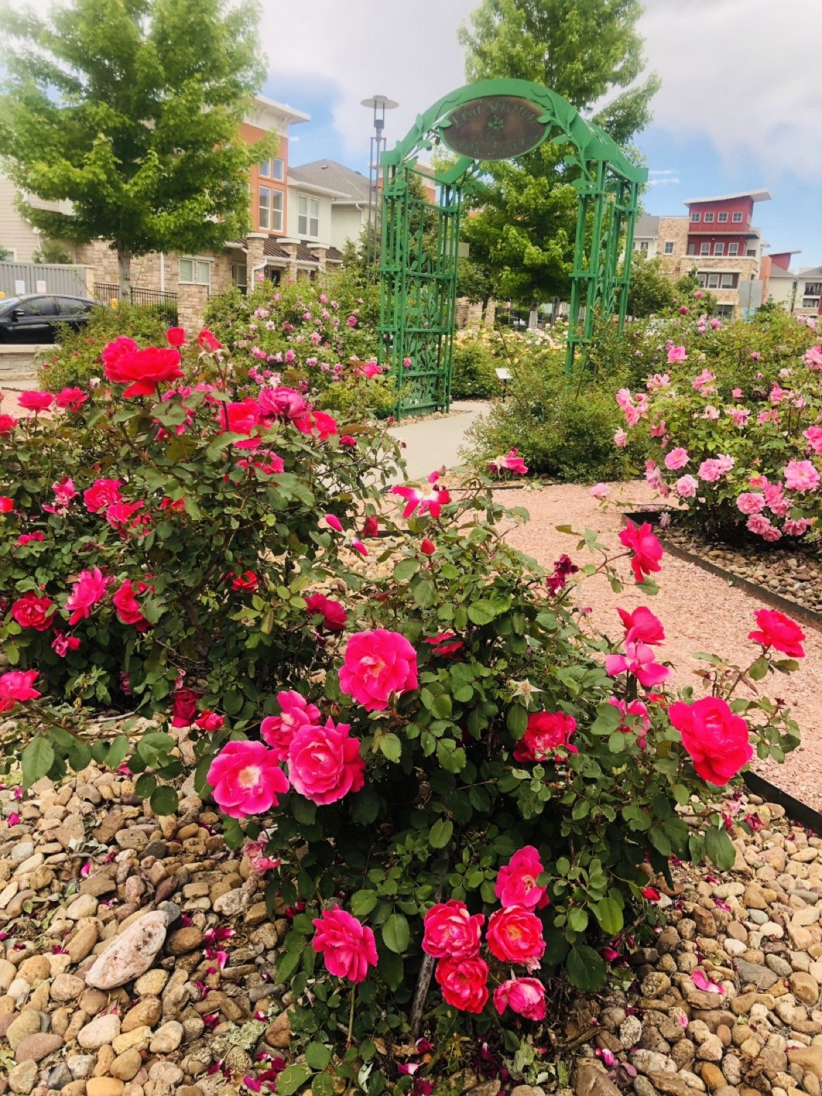 Stop & Smell the Roses