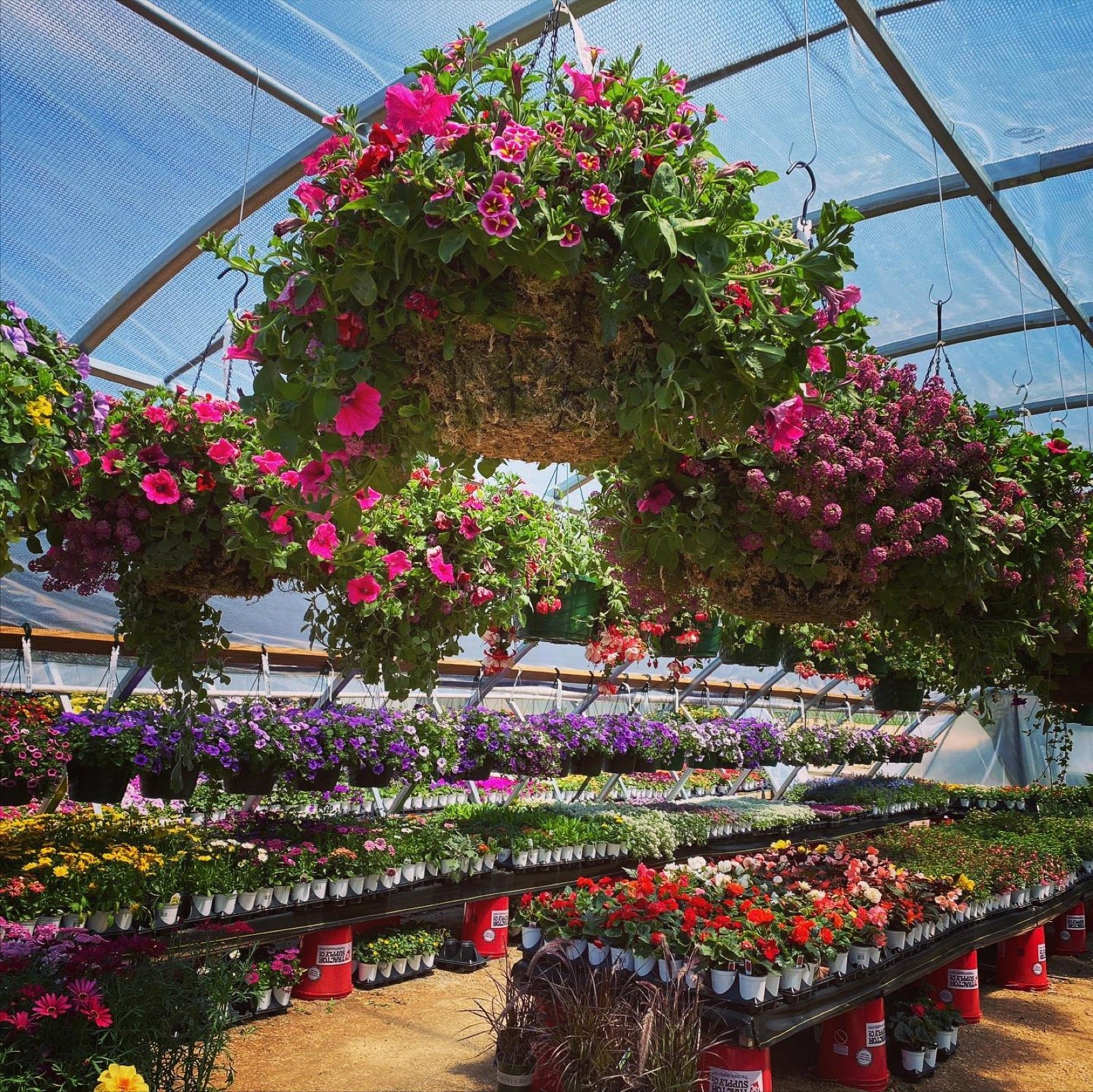 How Does Your Garden Grow?