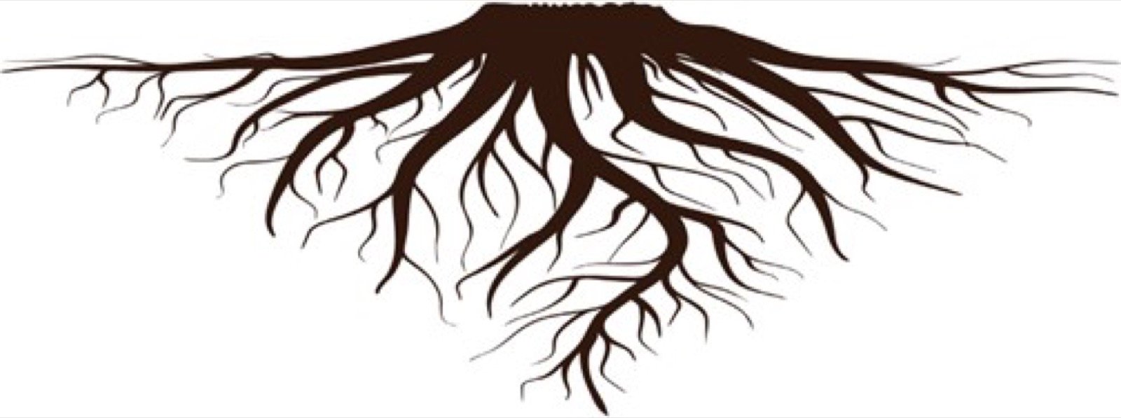 The Family Tree