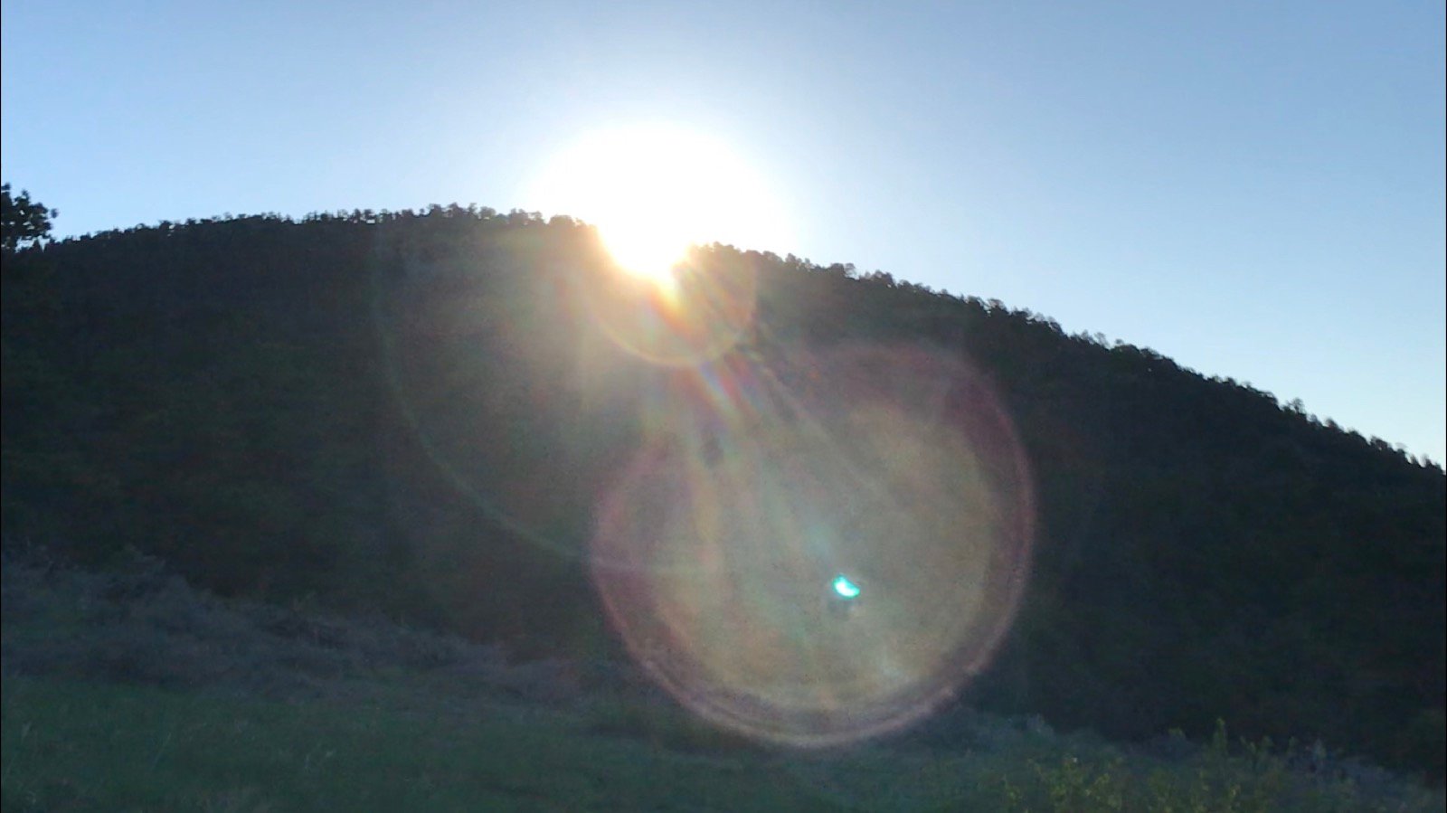 A New Dawn
